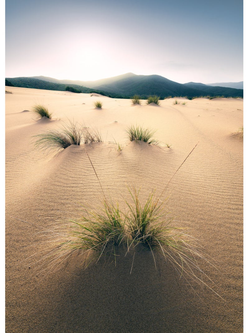 Papier peint panoramique - vivid dunes - taille: 200 x 280 cm Multicolore - Kiabi