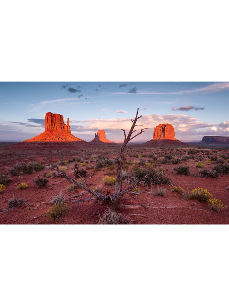 Papier peint panoramique - wild west heroes - taille: 450 x 280 cm Multicolore - Kiabi