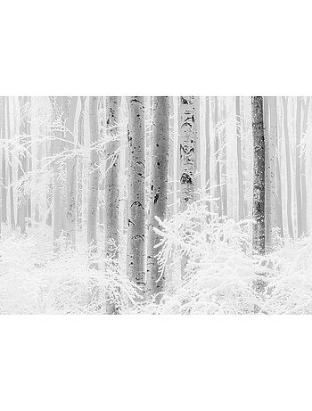 Papier peint panoramique - winter wood - taille: 400 x 280 cm