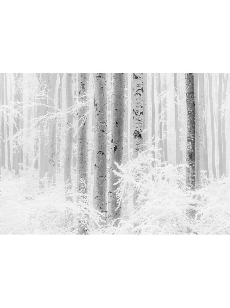 Papier peint panoramique - winter wood - taille: 400 x 280 cm Multicolore - Kiabi