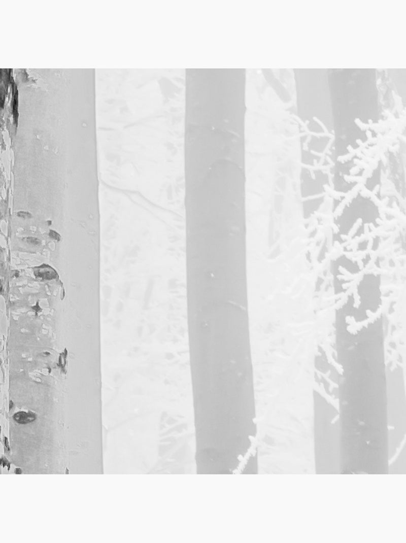 Papier peint panoramique - winter wood - taille: 400 x 280 cm Multicolore - Kiabi
