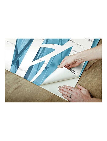 Papier peint panoramique auto-adhésif La Reine des neiges dans la foret glacée - 3.2 m x 1.83 m