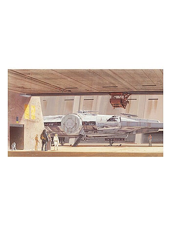Papier peint panoramique auto-adhésif Star Wars Faucon -3,2 m x 1,83 m
