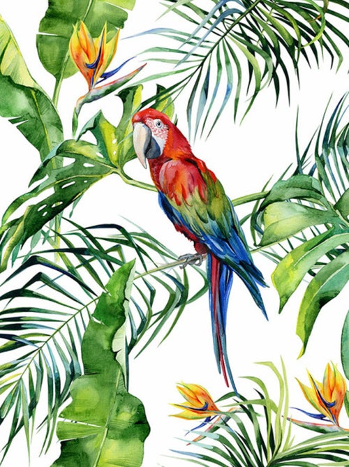 Papier peint panoramique exotique - Kiabi