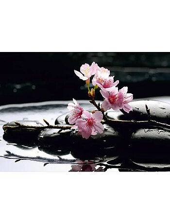 Papier peint panoramique “Fleurs de sakura sur pierres” – 360 x 254 cm – 4 parts