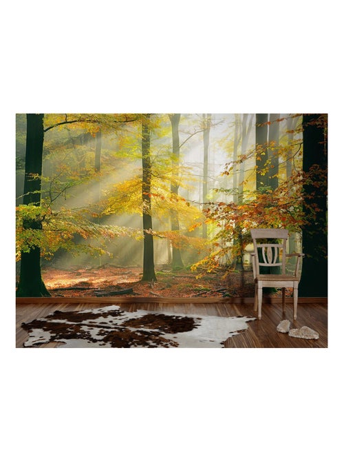 Papier-peint panoramique Forest - Kiabi