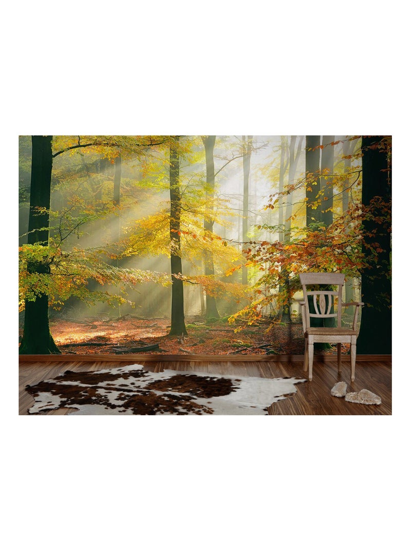 Papier-peint panoramique Forest Vert - Kiabi