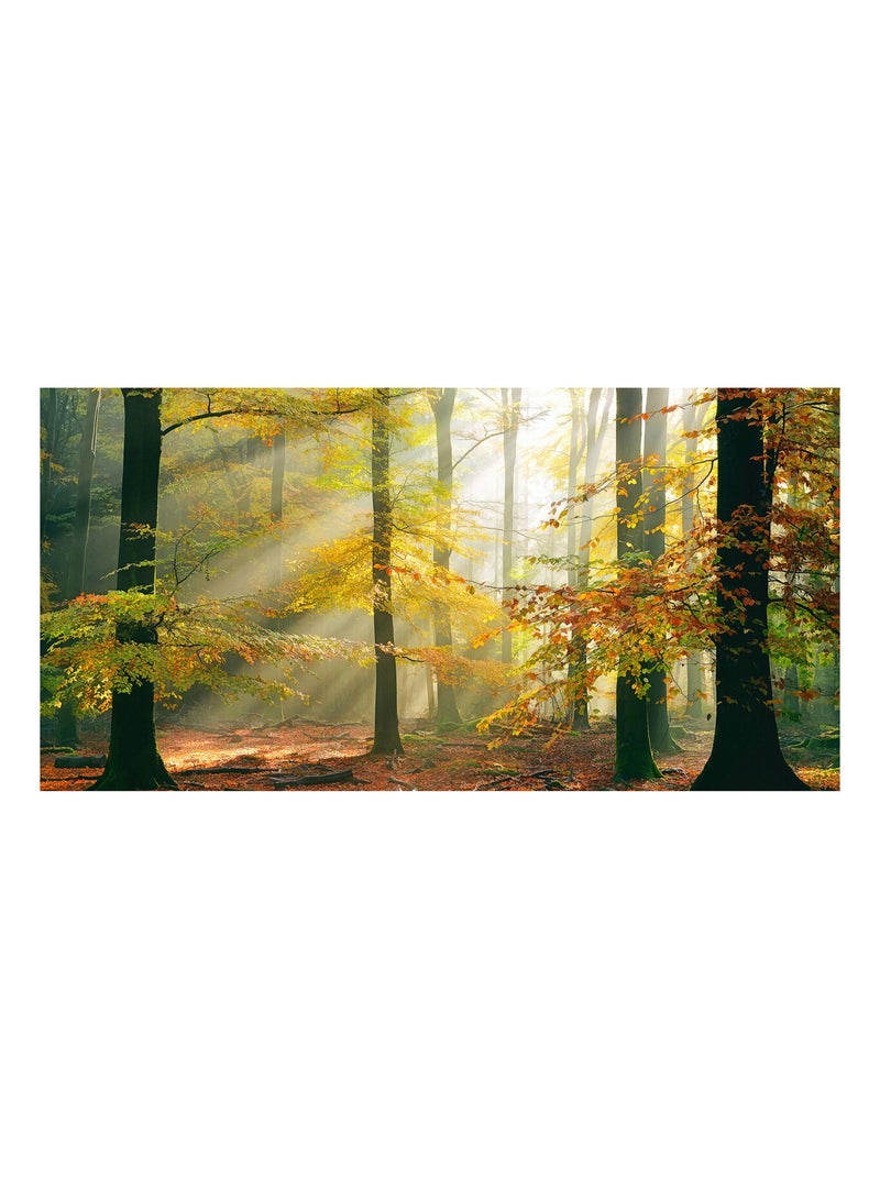 Papier-peint panoramique Forest Vert - Kiabi