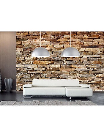 Papier peint panoramique parement mural 360 x 254 cm