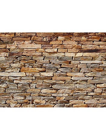 Papier peint panoramique parement mural 360 x 254 cm