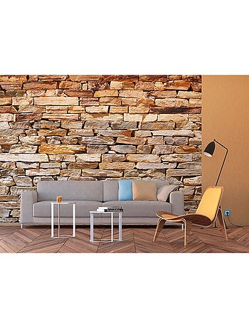 Papier peint panoramique parement mural 360 x 254 cm