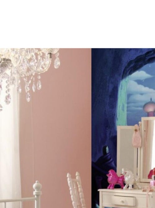Papier Peint Photo Aladdin Disney Jasmine attend Aladdin 368cm x 254cm - Kiabi