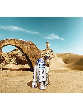 Papier Peint R2D2 & C3PO Star Wars 254X368 CM