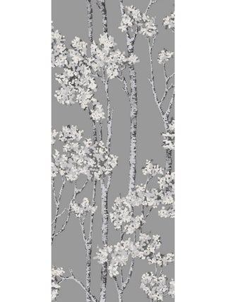 Papier Peint rouleau auto-adhésif - Arbre Bouleau Gris