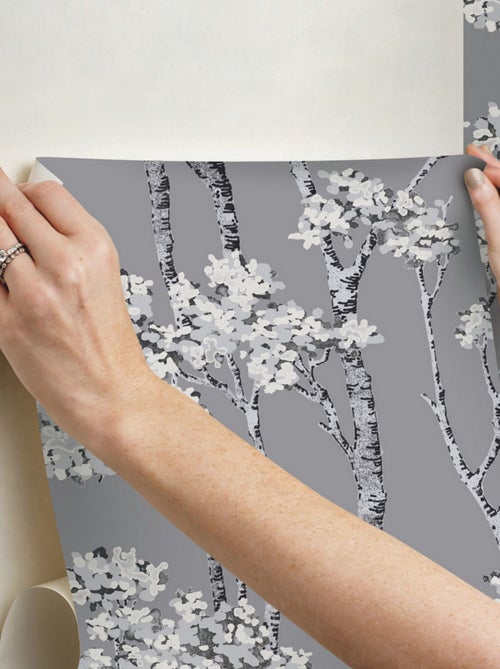 Papier Peint rouleau auto-adhésif - Arbre Bouleau Gris - Kiabi