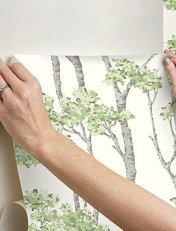 Papier Peint rouleau auto-adhésif - Arbre Bouleau Vert