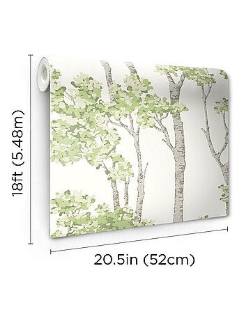 Papier Peint rouleau auto-adhésif - Arbre Bouleau Vert