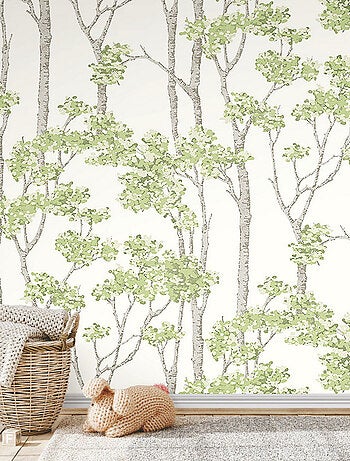 Papier Peint rouleau auto-adhésif - Arbre Bouleau Vert