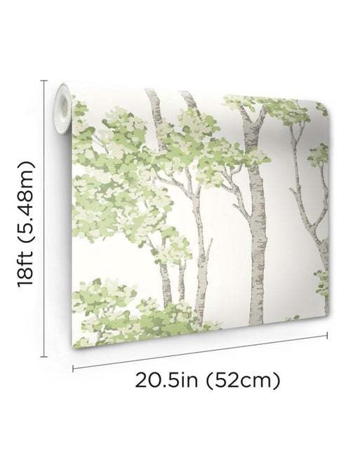 Papier Peint rouleau auto-adhésif - Arbre Bouleau Vert - Kiabi