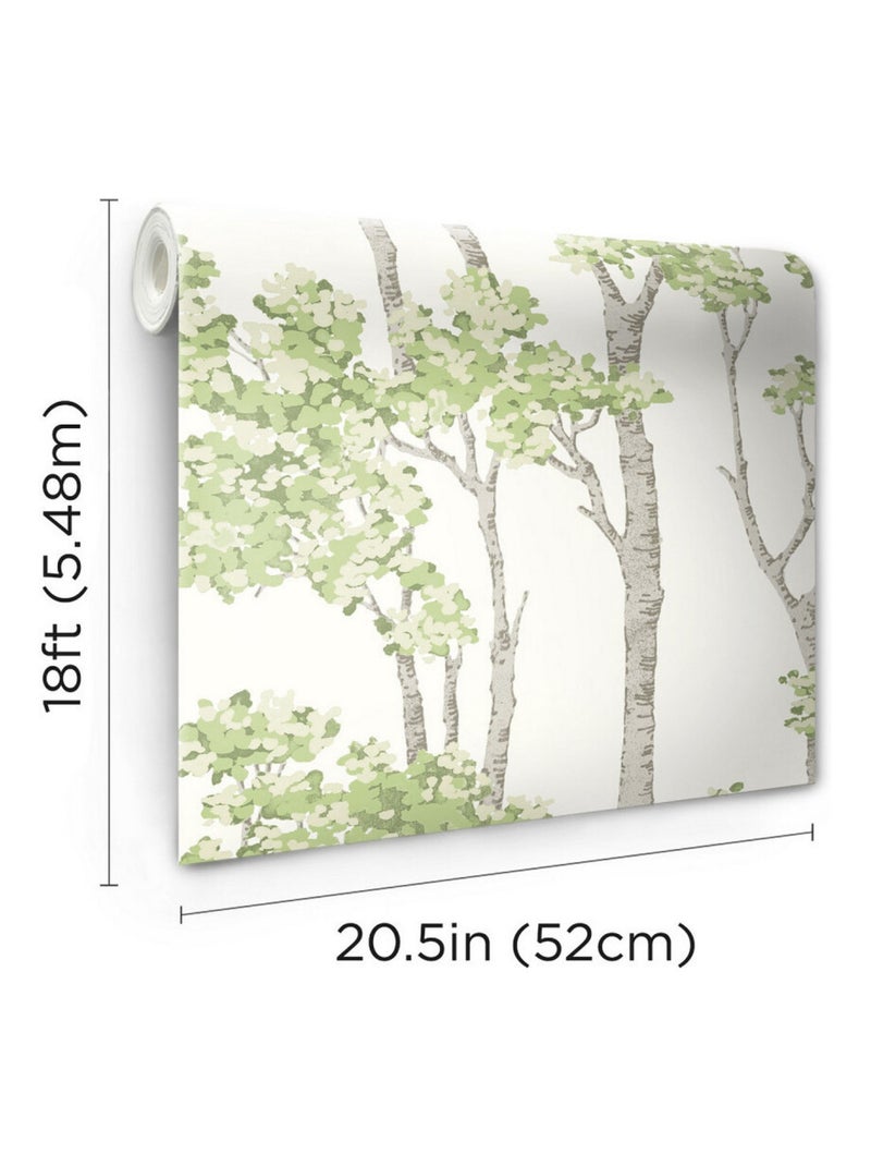Papier Peint rouleau auto-adhésif - Arbre Bouleau Vert Multicolore - Kiabi