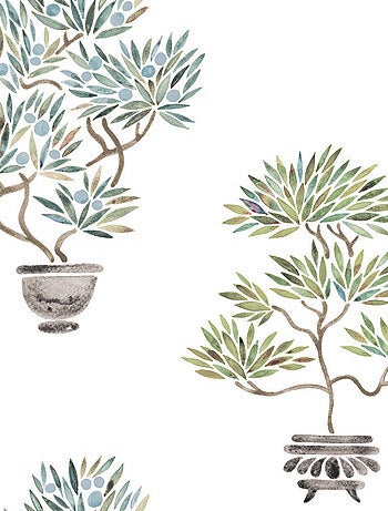 Papier Peint rouleau auto-adhésif - Bonsaïs - Vert