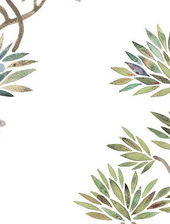 Papier Peint rouleau auto-adhésif - Bonsaïs - Vert