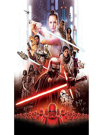 Papier Peint Star Wars Movie Modèle Rey 184x254