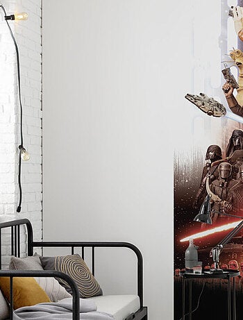 Papier Peint Star Wars Movie Modèle Rey 184x254