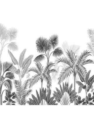 Papier Peint Thème palmier noir et blanc - 360 x 254 cm