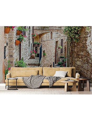 Papier Peint village maisons en pierre et plantes suspendues - 360 x 254 cm