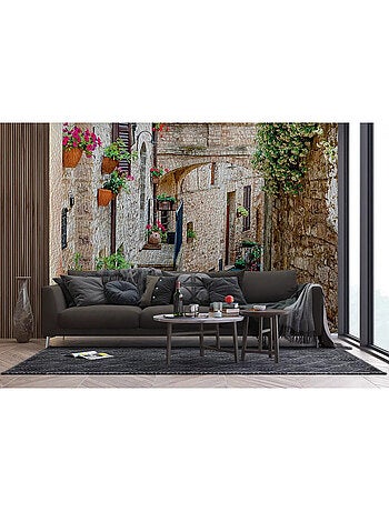 Papier Peint village maisons en pierre et plantes suspendues - 360 x 254 cm