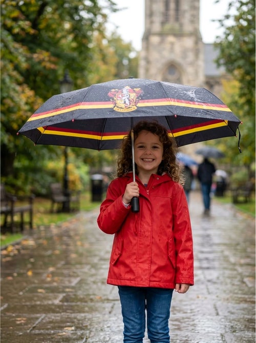 Parapluie gryffondor change de couleur sous la pluie harry potter - Kiabi Parapluie gryffondor change de couleur sous la pluie harry potter - Kiabi