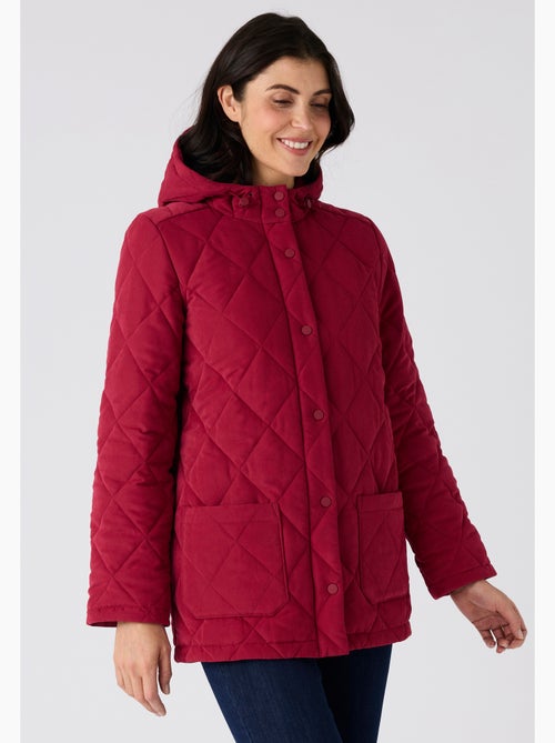 Parka matelassée à capuche - Damart - Kiabi