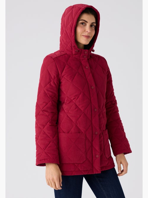 Parka matelassée à capuche - Damart - Kiabi