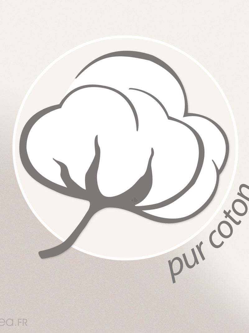 Parure de bain coton ZEBRA SOFT 4 pièces Zèbre Beige - Kiabi