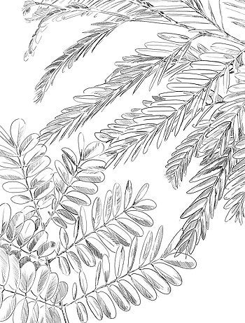 Parure de couette imprimée jungle dorée