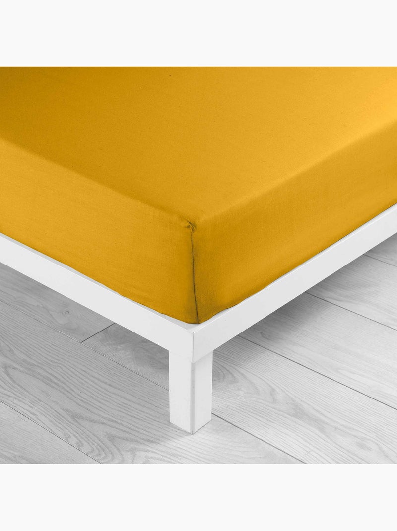 Parure de drap 4 Pièces en coton 57 fils – Drap-Housse, Drap Plat et 2 Taies d’Oreiller Curry - Kiabi