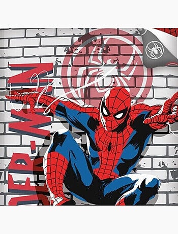 Parure de lit Microfibre Douceur d'Intérieur