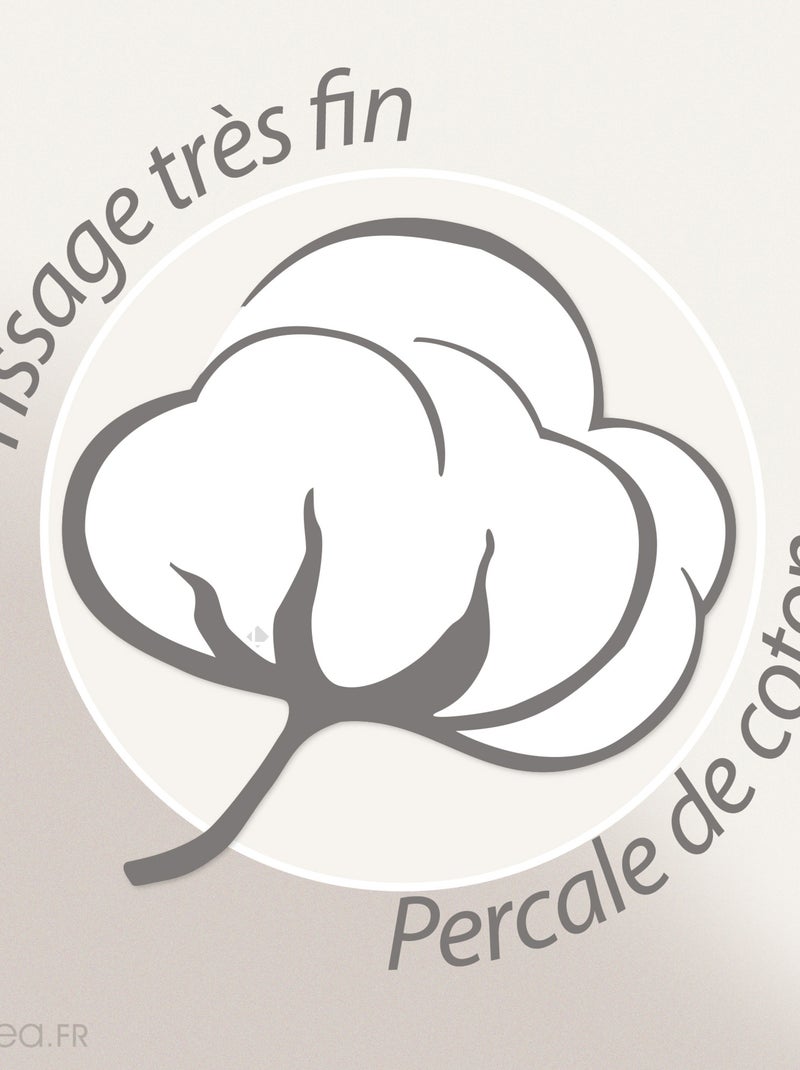 Parure de lit percale DDM MAX Taie 65x65 cm Gris - Kiabi