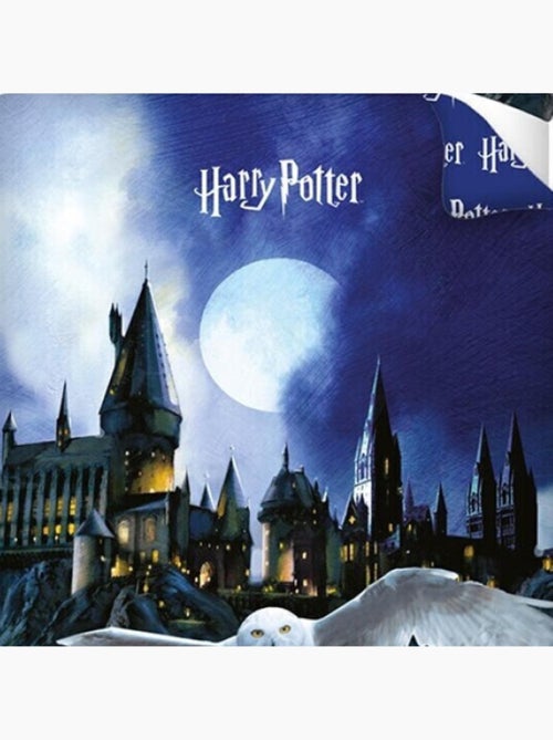Parure de lit réversible Hedwige Harry Potter - 140 cm x 200 cm - Kiabi