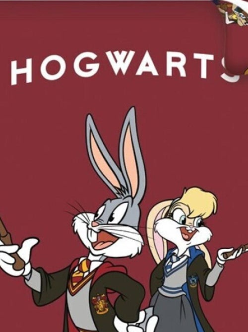 Parure de lit réversible Warner Bros - -Hogwarts- - 140 cm x 200 cm - Kiabi Parure de lit réversible Warner Bros - -Hogwarts- - 140 cm x 200 cm - Kiabi