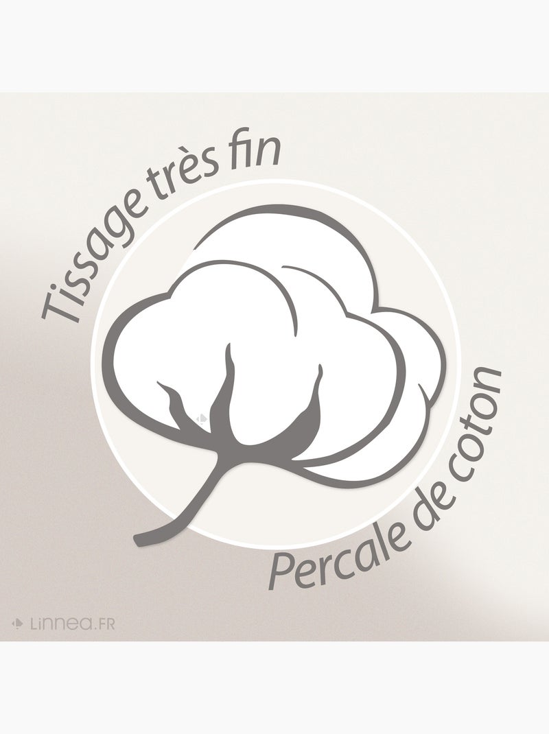 Parure de lit uni percale de coton MANOIR Taie 65x65 cm Gris taupe - Kiabi