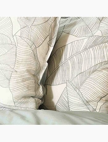 Parure housse de couette 100 % coton pampelune