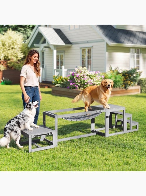 Passerelle agility chiens bois de sapin - Kiabi