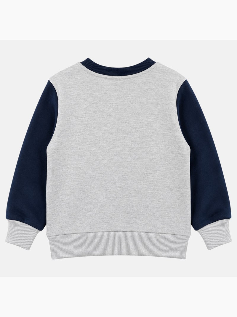 Pat Patrouille - Sweat garçon imprimé Gris - Kiabi