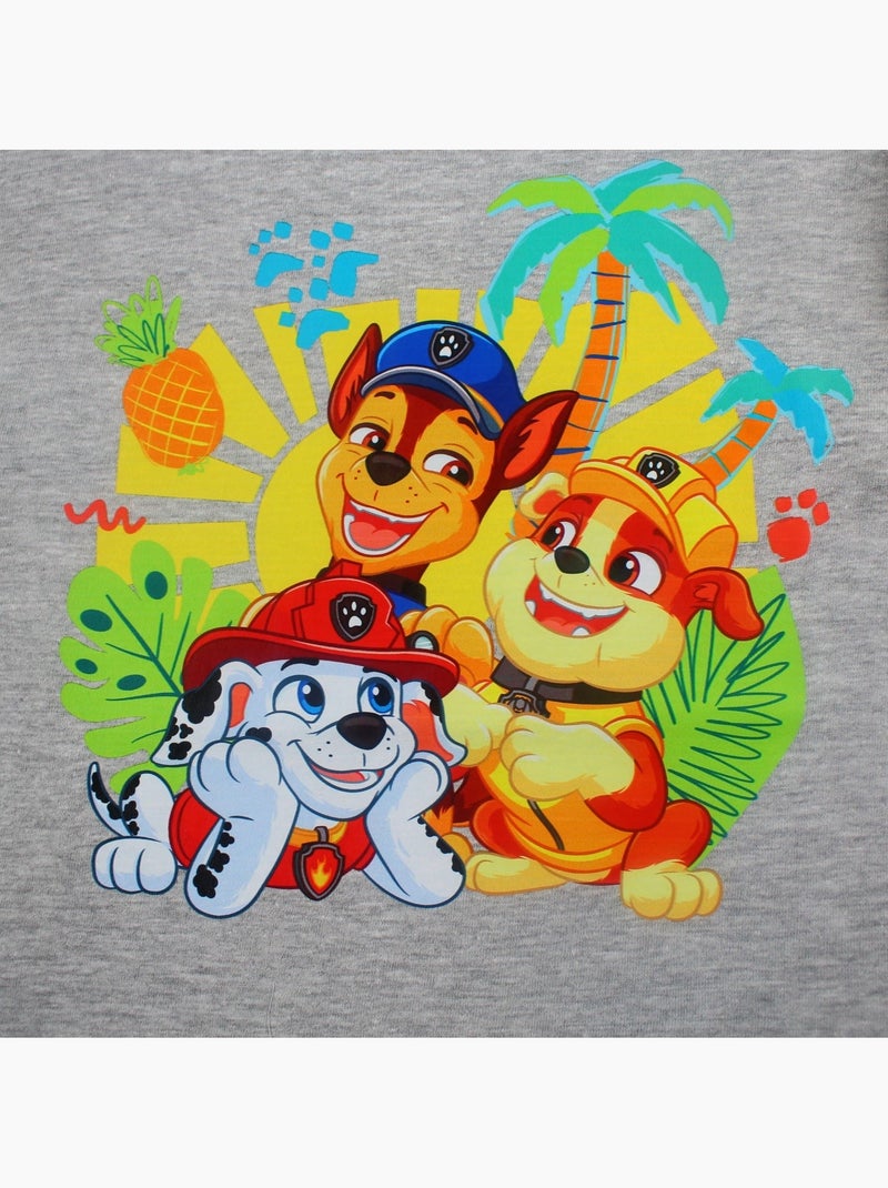 Pat Patrouille - T-shirt manches courtes garçon avec personnage Gris - Kiabi