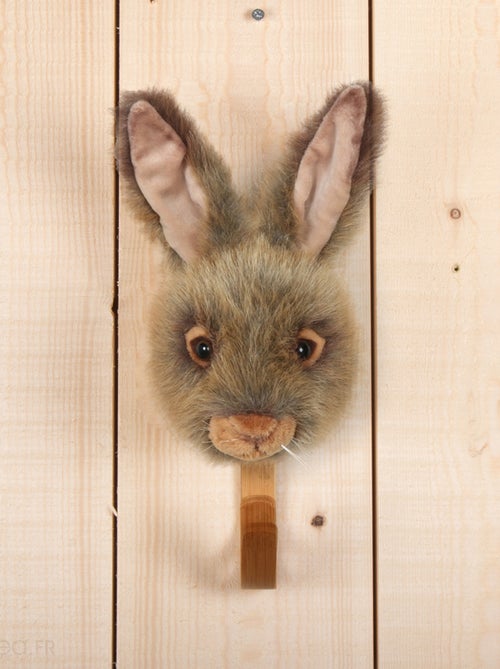 Patères petites têtes collection SOFT ANIMALS Forêt Lièvre Brun Lewis - Kiabi