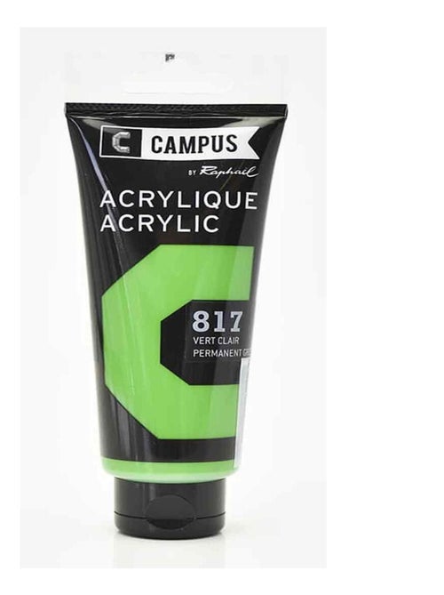 Peinture acrylique 100 ml - Vert clair n°817 - Kiabi