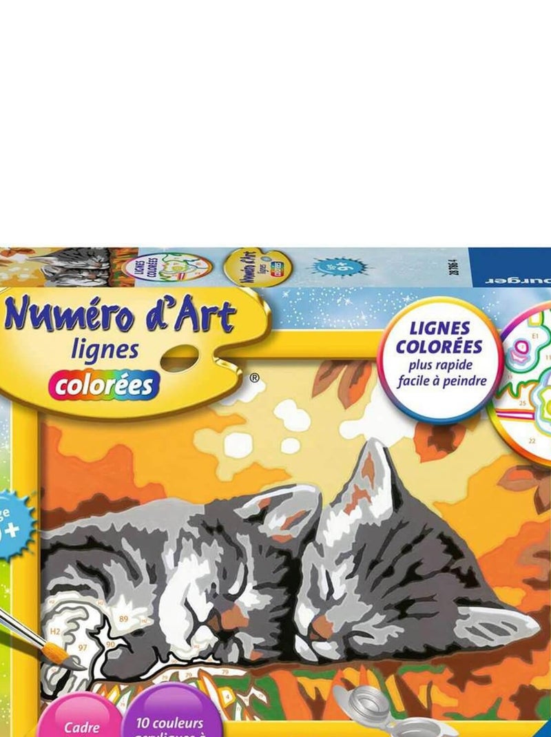 Peinture au numéro : Numéro d'Art Petit Format : Deux chatons couchés N/A - Kiabi