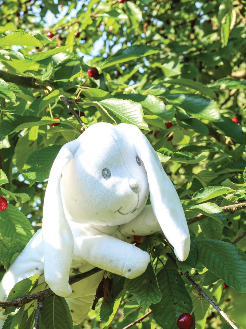 Peluche à billes Lapin N/A - Kiabi